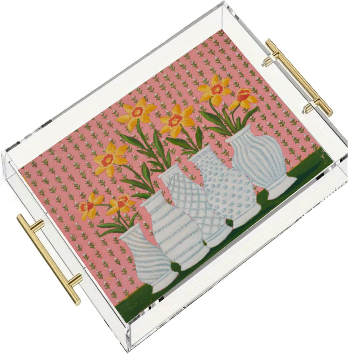 Acrylic Trays