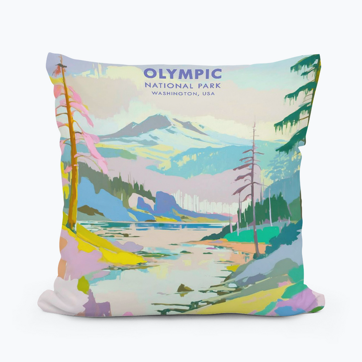 WASHINGTON OLYMPIC PARK SQUARE PILLOW